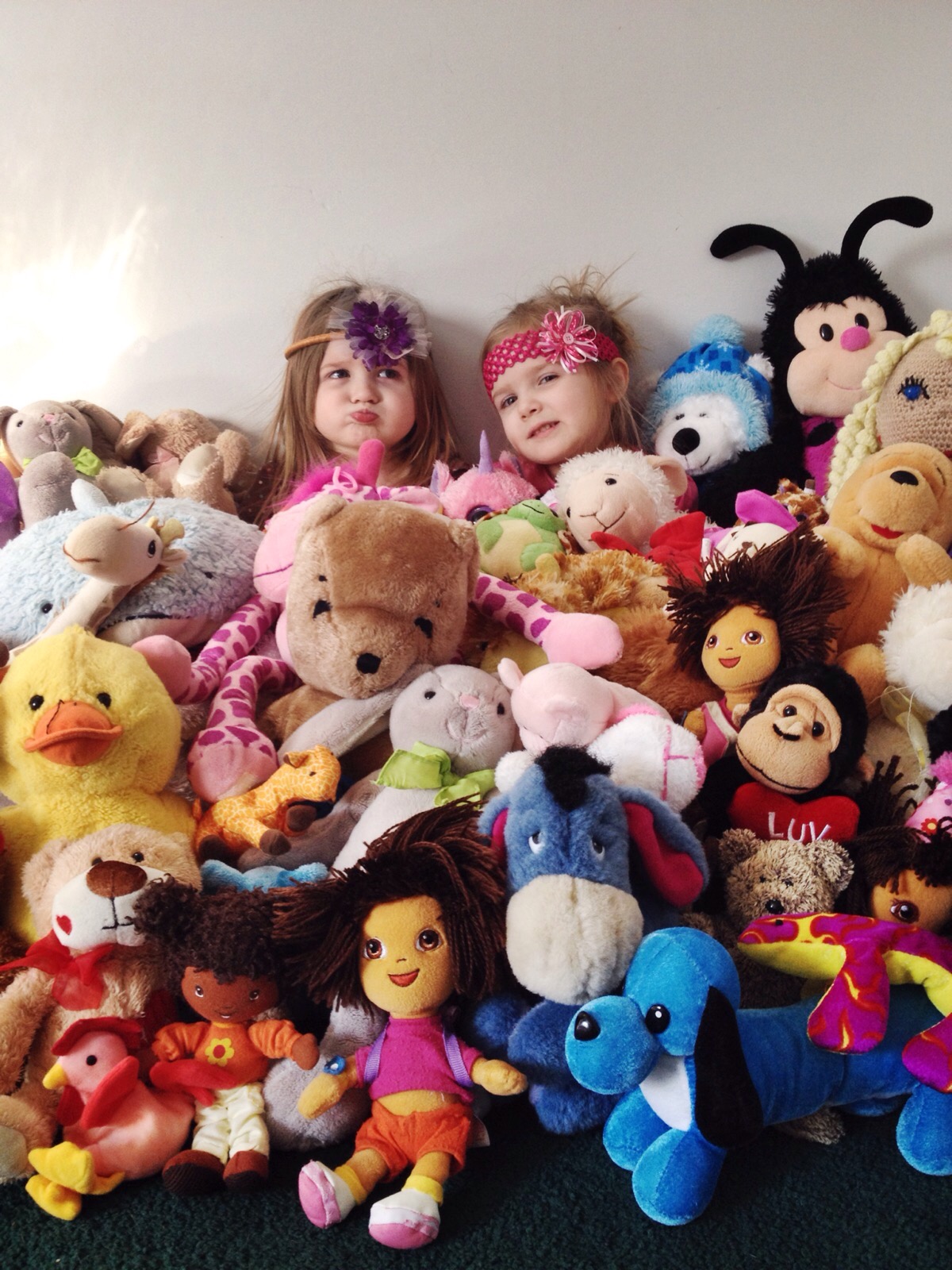 stuffed animal sites